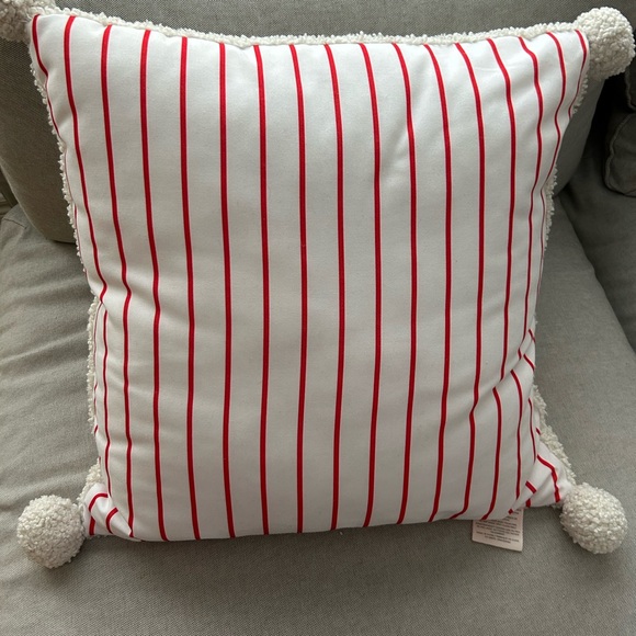 Jillian Harris Canvas Collection Sherpa Pom pillows - Picture 3 of 5